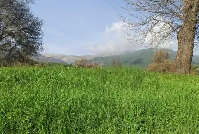 Campamento El Labradero — photo 2